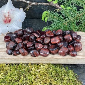 Red Tiger's Eye Tumbled Stones by Size - 1 lb