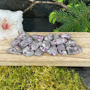 Ruby in Matrix Tumbled Stones - 1/2 lb