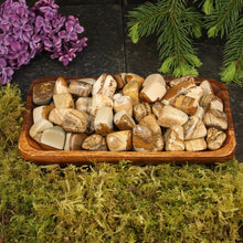 Load image into Gallery viewer, Picture Jasper Tumbled Stones - 1 lb
