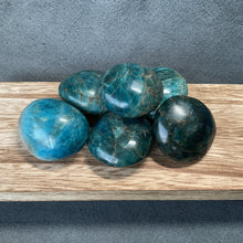 Load image into Gallery viewer, Blue Apatite Palms - 1 lb
