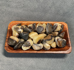 Septarian Nodule Tumbles - 1 lb