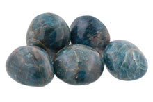 Load image into Gallery viewer, Blue Apatite Palms - 1 lb
