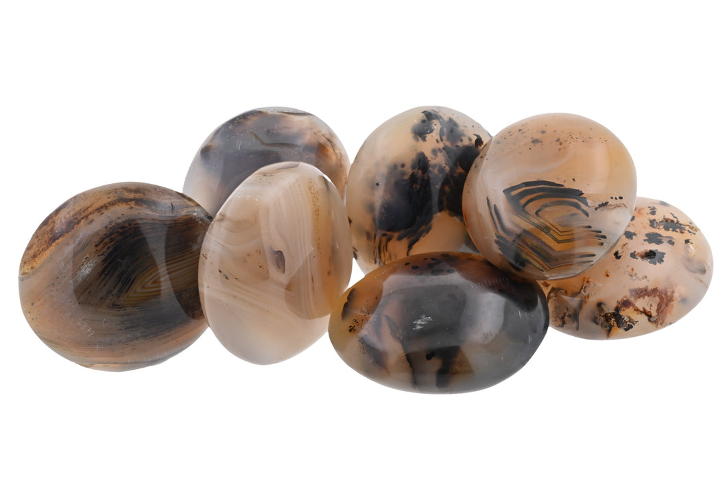 Dendritic Agate Small Palms - 1 lb