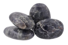 Load image into Gallery viewer, Iolite Palms - 1 lb
