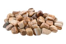 Load image into Gallery viewer, Picture Jasper Tumbled Stones - 1 lb
