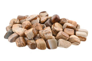 Picture Jasper Tumbled Stones - 1 lb