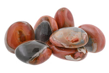 Load image into Gallery viewer, Polychrome Jasper Palms - 1 lb
