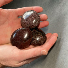Load and play video in Gallery viewer, Garnet Palms - 1 lb
