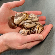 Load and play video in Gallery viewer, Zebra Jasper (Brazil) Pebbles / XL Tumbled - 1 lb
