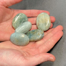 Load and play video in Gallery viewer, Aquamarine Small Palms - 1/2 lb
