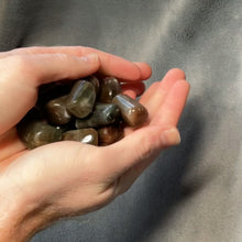 Load and play video in Gallery viewer, Cat&#39;s Eye Chrysoberyl Tumbled Stones - 1 lb
