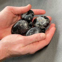 Load and play video in Gallery viewer, Gabbro (Indigo) Jasper Palms - 1 lb
