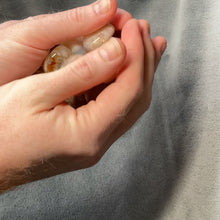 Load and play video in Gallery viewer, Flower Agate Tumbled Stones - 1 lb
