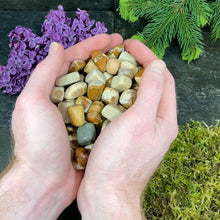Load and play video in Gallery viewer, Picture Jasper Tumbled Stones - 1 lb
