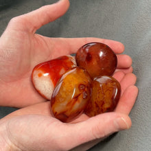 Load and play video in Gallery viewer, Carnelian Palms - 1 lb

