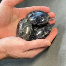 Load and play video in Gallery viewer, Iolite Palms - 1 lb
