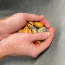 Load and play video in Gallery viewer, Bumblebee Jasper Tumbled Stones - 1/2 lb
