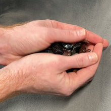 Load and play video in Gallery viewer, Pietersite Tumbled Stones - 1/2 lb

