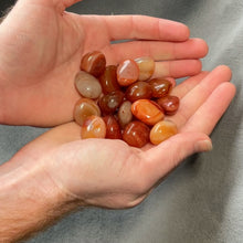 Load and play video in Gallery viewer, Carnelian Tumbled Stones - 1 lb

