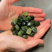 Load and play video in Gallery viewer, Nephrite Jade Tumbled Stones - 1/2 lb
