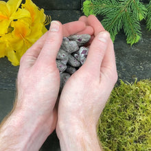 Load and play video in Gallery viewer, Ruby in Matrix Tumbled Stones - 1/2 lb
