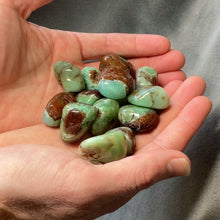 Load and play video in Gallery viewer, Chrysoprase Tumbled Stones - 1/2 lb
