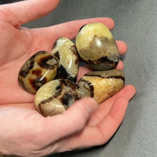 Load and play video in Gallery viewer, Septarian Nodule Palms - 1 lb
