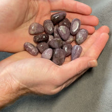 Load and play video in Gallery viewer, Lepidolite Tumbled Stones - 1 lb
