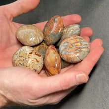 Load and play video in Gallery viewer, Ibis Jasper Small Palms - 1 lb
