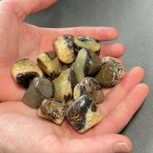 Load and play video in Gallery viewer, Septarian Nodule Tumbles - 1 lb
