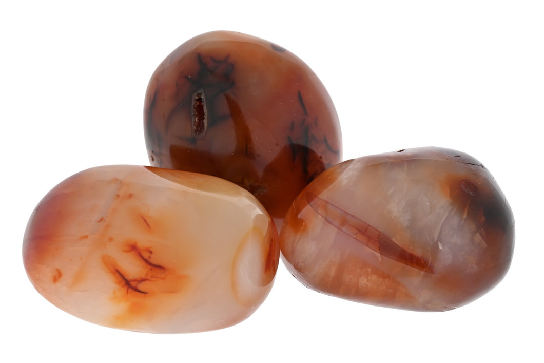 Carnelian Palms - 1 lb