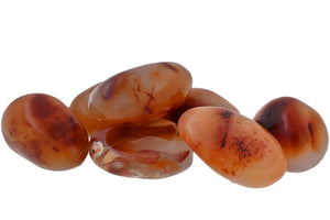 Carnelian Palms - 1 lb
