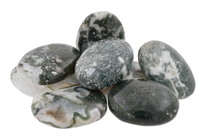 Moss Agate Palms - 1 lb