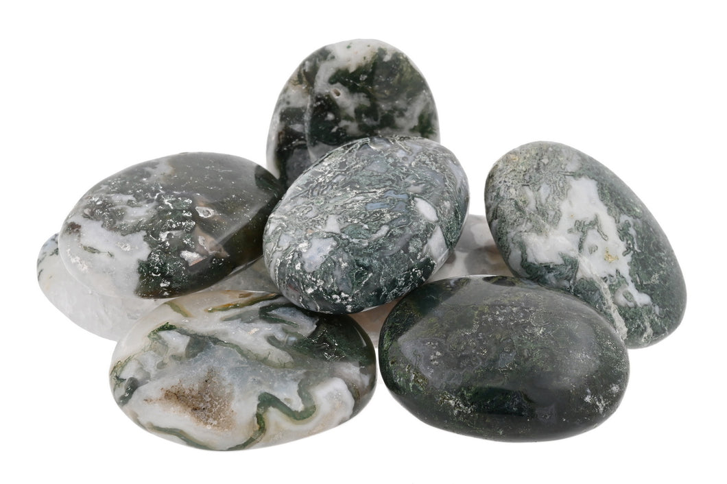 Moss Agate Palms - 1 lb