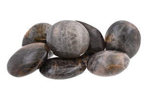 Black Moonstone Palms - 1 lb