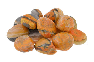 Bumblebee Jasper Tumbled Stones - 1/2 lb
