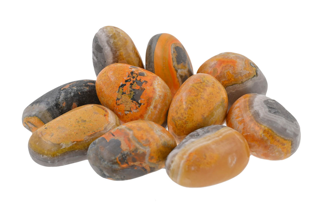 Bumblebee Jasper Tumbled Stones - 1/2 lb