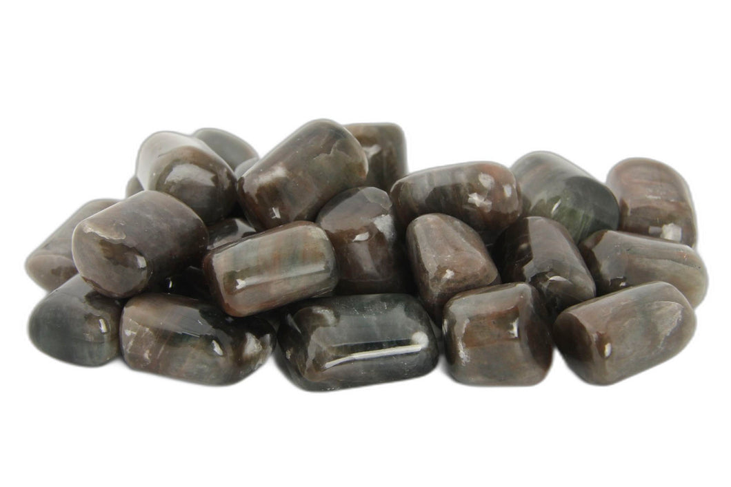 Cat's Eye Chrysoberyl Tumbled Stones - 1 lb