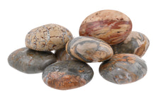 Load image into Gallery viewer, Ibis Jasper Small Palms - 1 lb
