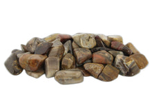 Load image into Gallery viewer, Petrified Wood Tumbled Stones - 1 lb
