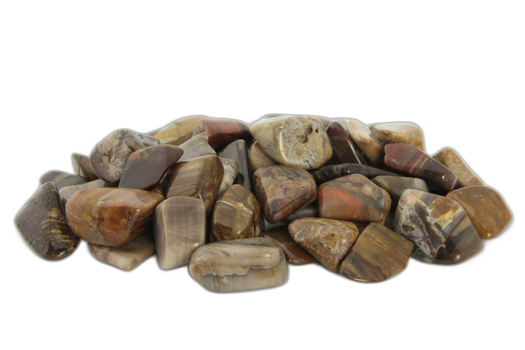 Petrified Wood Tumbled Stones - 1 lb