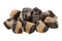 Load image into Gallery viewer, Septarian Nodule Tumbles - 1 lb
