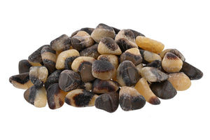 Septarian Nodule Tumbles - 1 lb