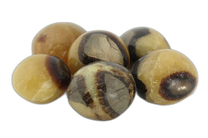 Septarian Nodule Palms - 1 lb