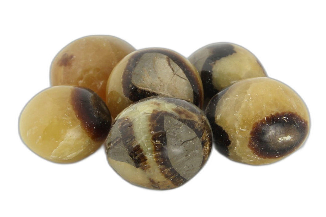 Septarian Nodule Palms - 1 lb