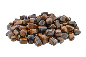 Tiger Iron Small Tumbled - 1 lb